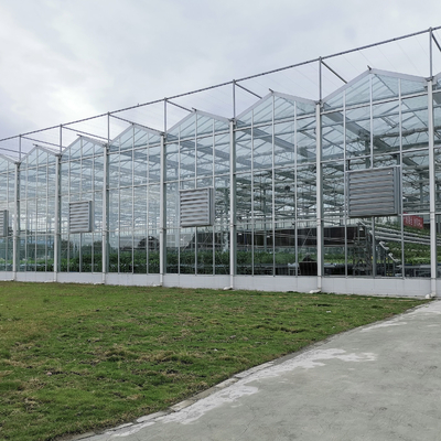 Парник Multispan стекла парника цветка земледелия промышленный на открытом воздухе стеклянный профессиональный голландский для засаживать цветка