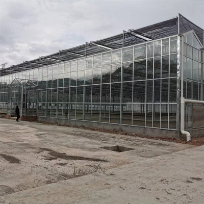парники Venlo Мульти-пяди аграрные закалили стеклянный парник с Hydroponic растущей системой