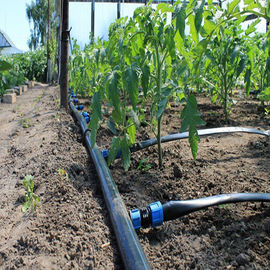 Система водообеспечения Polytunnel оросительной системы/спрейера парника фермы