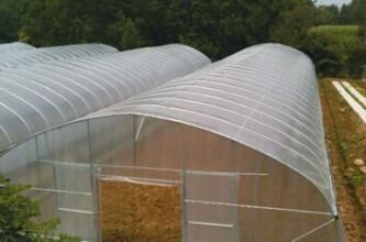 Крытый на открытом воздухе шатер парника небольшой/установленный овощ растет легкое шатра
