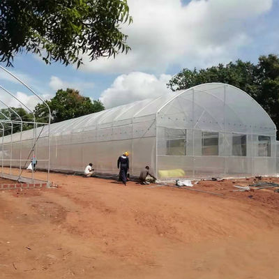 Одиночная гальванизированная пластмасса тоннеля овоща пяди растет аграрное дома