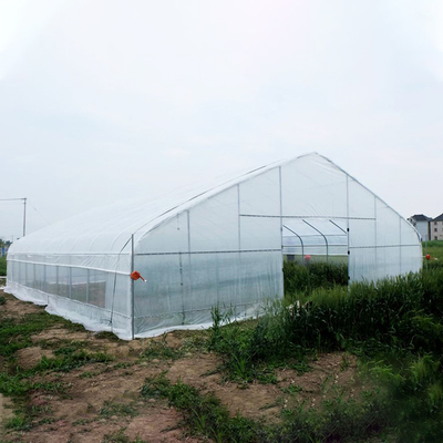 Парник фильма полиэтилена тоннеля фермы/ясный пластиковый парник для различных овощей