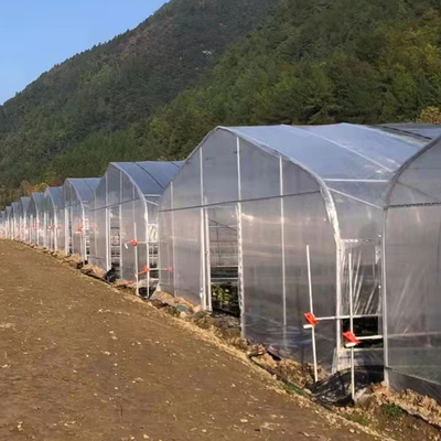 парник фильма полиэтиленовой пленки пяди длины 30m одиночный для культивирования томата