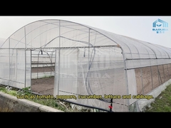 Hot Galvanized Steel Pipe Plastic Tunnel Greenhouse Agricultural