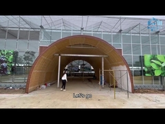 Hydroponic System Automatic Glass Venlo Glass Greenhouse