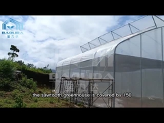 Urban Farming Sawtooth Agricultural Greenhouse Plastic Agri Greenhouse Single Span