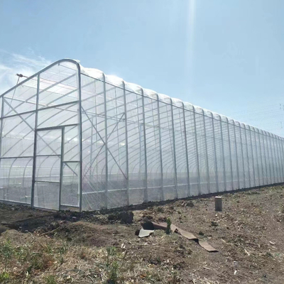 Качество  Plastic Film Solar Passive Greenhouse With Rainwater Collection Support фабрика