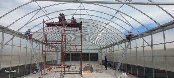 Качество  Automated Light Deprivation Greenhouse with 8mm Twin-Wall PC Board and Hot-Dip Galvanized Steel Frame Controlled by Smart PLC System фабрика