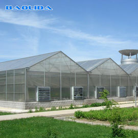 Качество  Commercial Polycarbonate Sheet Greenhouse / PC Sheet Greenhouse Customized Material фабрика