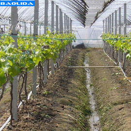 Качество  Small Greenhouse Irrigation System / Greenhouse Auto Watering System фабрика