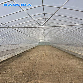 Качество  Tomato Growing Naturally Ventilated Greenhouse Plastic Film Greenhouse фабрика