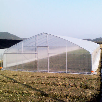 Качество  High Strength Agricultural Poly Tunnel Tomato Greenhouse 5*15m 17*50ft фабрика