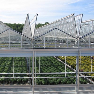Парник Hydroponic растущей системы аграрный солнечный стеклянный для овощей