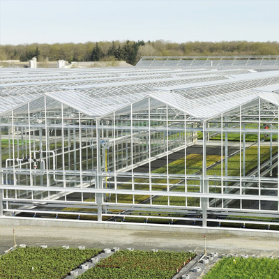 Гидропоника Venlo овоща закалила стеклянный парник Multispan для расти томата