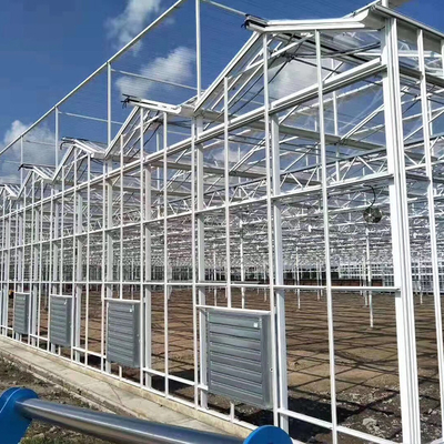Multi заволакивание 1000m2 стеклоткани парника Venlo стальной структуры пяди стеклянное