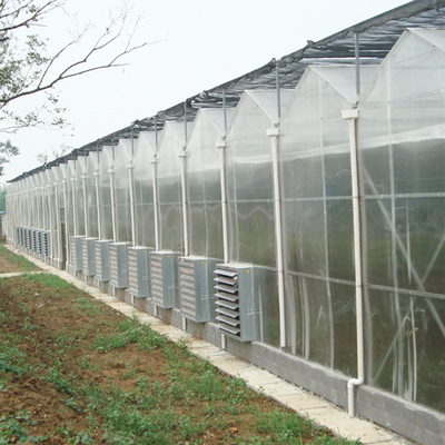 Парник тоннеля поликарбоната Multispan для расти овощей