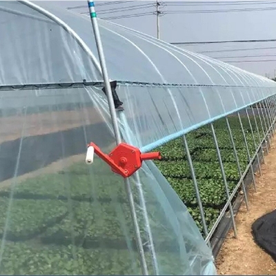 Парник полиэтиленовой пленки тоннеля земледелия одиночный для клубники засаживая расти