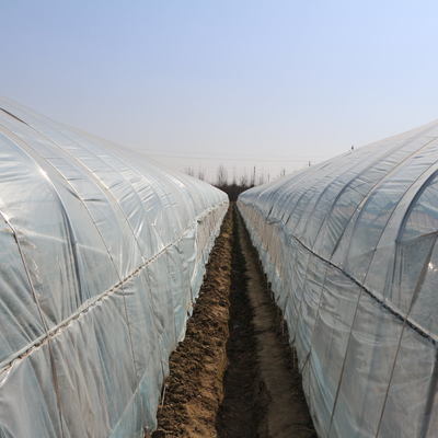 Парник на открытом воздухе китайского тоннеля свода пластиковый прозрачный для культивирования