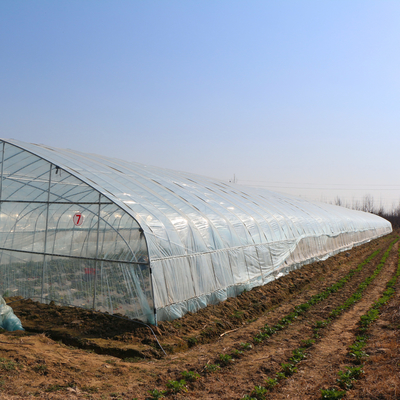 тоннель длины 100m пластиковый высокий обрабатывая землю парник фильма полиэтилена для роста урожая