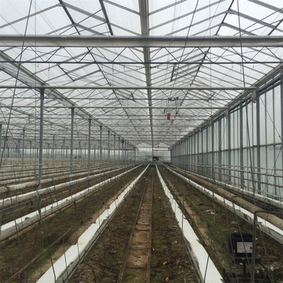 Парник Venlo Multi пяди земледелия автоматический стеклянный для расти овощей