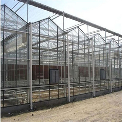 Закаленный стеклянный тип парник Multispan Venlo панели для овощей Hydroponic