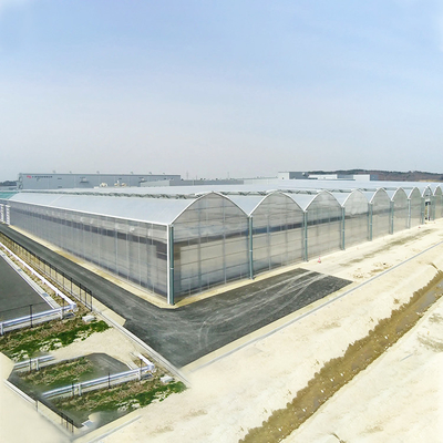 Проект Serre Agricole аграрного парника листа поликарбоната полностью готовый умное