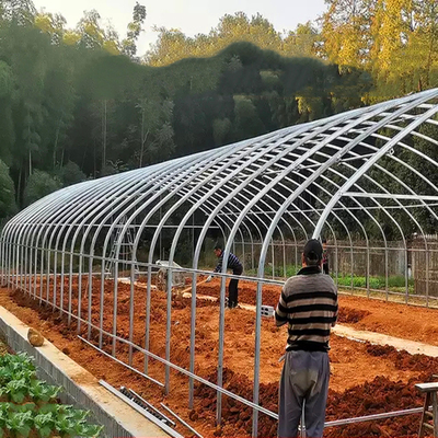 Парник пластикового тоннеля фермы клубник тоннеля аграрного пластиковый с системой вентиляции