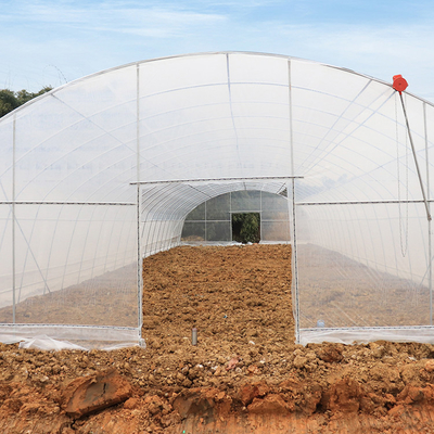 Тоннель тропического одиночного сарая парника рамки металла пяди пластикового высокий прозрачный