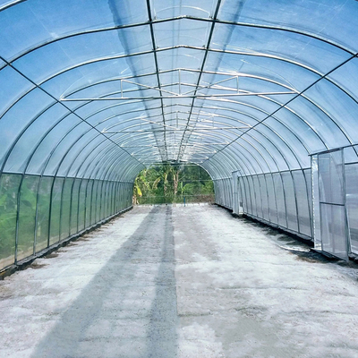 Парник сброса крыши зонтика тоннеля одиночной пяди земледелия одиночный для горячей области