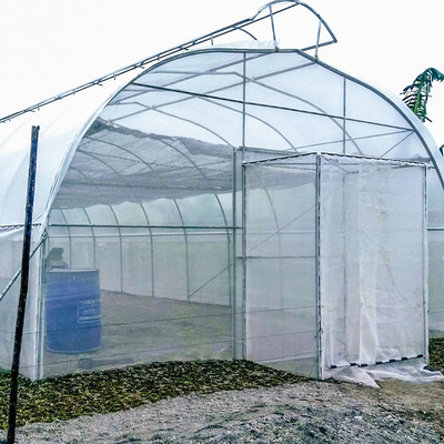 Парник пяди сброса крыши зонтика одиночный для расти тропиков Hydroponic