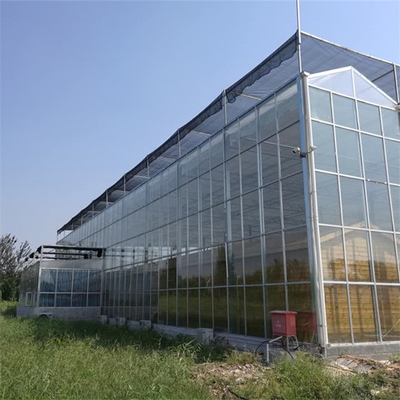 Культивирование заводов коммерчески стеклянного Multi парника пяди аграрное