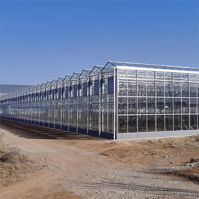 Культивирование заводов коммерчески стеклянного Multi парника пяди аграрное