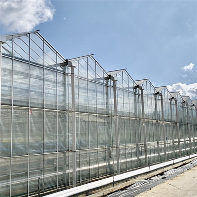 Venlo автоматизировало пядь стеклянного парника завода Hydroponic закаленную Multi аграрную
