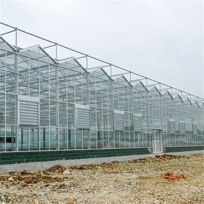 Китайское земледелие закалило стеклянный тип Venlo парника гальванизировало коммерчески