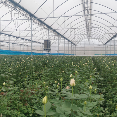 Парник анти- тоннеля пяди насекомого чистого Multi Hydroponic пластиковый для овоща