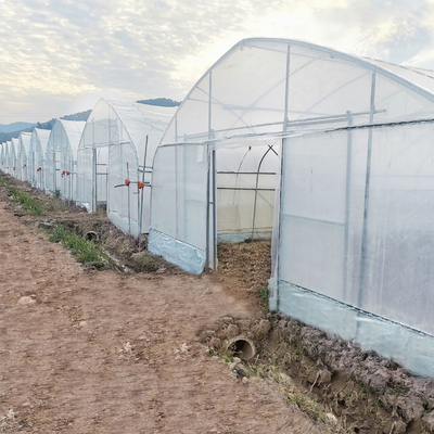 Парник тоннеля коммерчески системы охлаждения контроля климата одиночный для обрабатывать землю земледелия