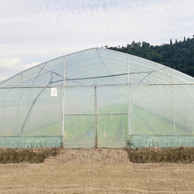 Hydroponic парник тоннеля полиэтиленовой пленки свода железного каркаса системы поли для томата