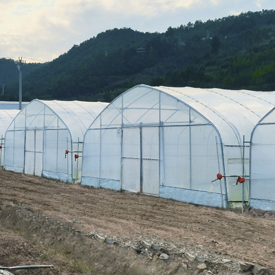 Hydroponic парник тоннеля полиэтиленовой пленки свода железного каркаса системы поли для томата