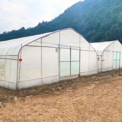 Парник земледелия Singlespan оптового изготовления цены по прейскуранту завода-изготовителя Китая парника Hydroponic