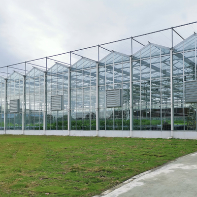 Вертикаль парника стекла структуры парника Duble парника Мульти-пяди гальванизированная зеркальным стеклом голландская