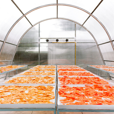 Оранжерея с ультрафиолетовой защитой для сушки растений и продуктов питания