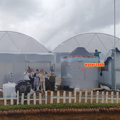 Многопролетная сельскохозяйственная теплица шириной 6-12 м с пленкой из полиэтилена 150/200 микрон