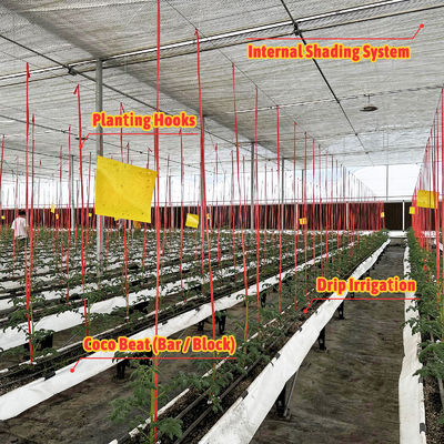 Оранжевый стальной каркас теплица 6м-12м протяженность с 150/200микрон PE пленкой
