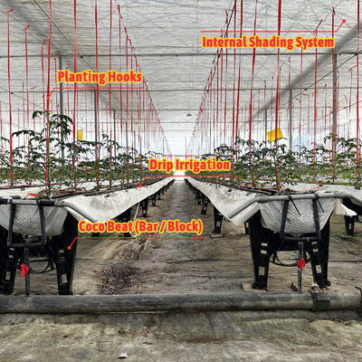 Оранжевый стальной каркас теплица 6м-12м протяженность с 150/200микрон PE пленкой