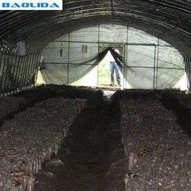 Парник фольги полиэтилена тоннеля для передачи гриба низкой черно-белой