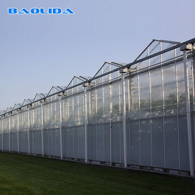 Парник Venlo Multi пяди земледелия стеклянный для засаживать томата