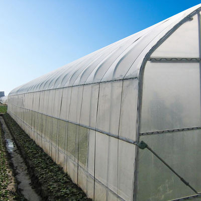 Ширина 8m 9m 10m прокладывает тоннель пластиковый парник для расти овощей