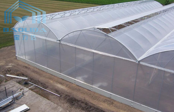 Заводы земледелия растя система охлаждения парника Multispan с вентиляцией верхних/сторон