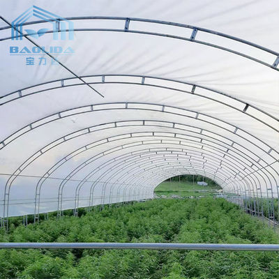 Парник тоннеля ширины 10m Одно-пяди земледелия капусты фильма PE растя пластиковый