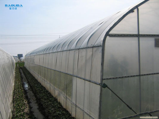 Парник пяди тоннеля одиночный для сельского хозяйства расти овощей аграрного